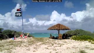 Hidden Treasure Webcam - November 21, 2011