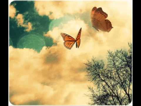 Puya Feat  Connect R   Americandrim