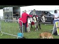Breezin' Down Broadway, arranged by Goff Richards, played here by Honley Silver Band at Honley Show