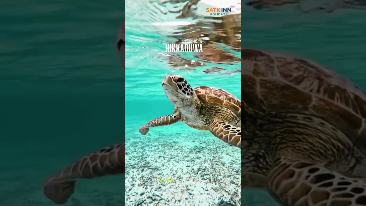 Hikkaduwa | Beaches, Turtles & Coral Reefs #tourism #tourist #travel