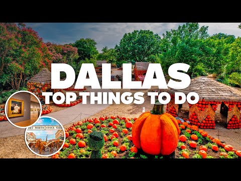 BEST THINGS TO DO IN DALLAS! Must-See Attractions!