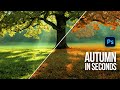 Autumn in Seconds - Photoshop Tutorial
