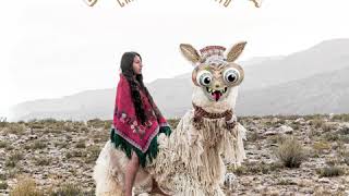 Chancha Via Circuito - Los Pastores