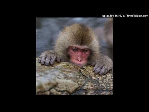 free tezzus type beat 190126