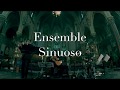 Ensemble Sinuoso - Sinuoso (Guinga)