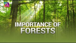Sansad TV Vishesh: Importance of Forests | 25 April, 2024