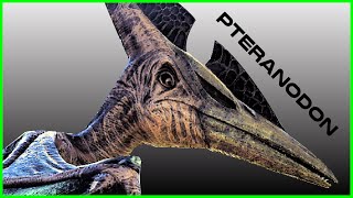 ARK | How to Tame a Pteranodon + Tips (Beginner&#39;s Guide)