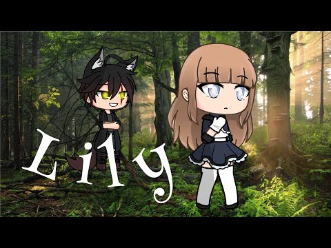 Lily - GLMV