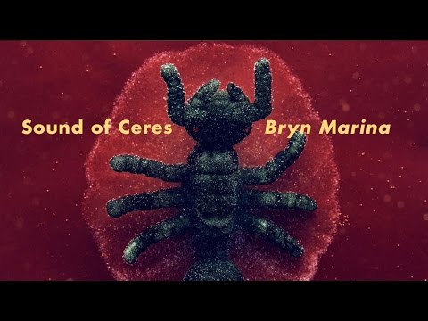 Video thumbnail for Bryn Marina