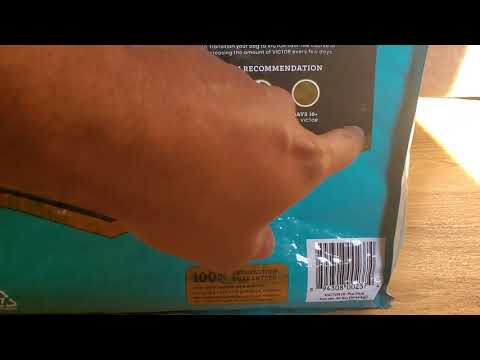 how to properly switch dog foods