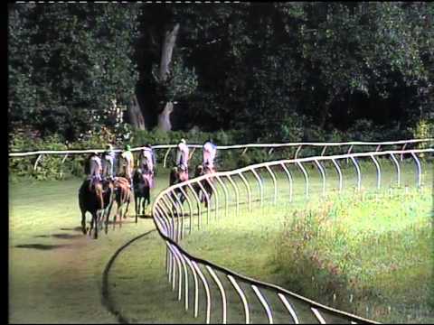 Galoppo 01/08/2015 - 5° corsa