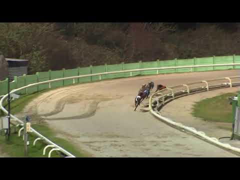 BBS semi Signet Otis