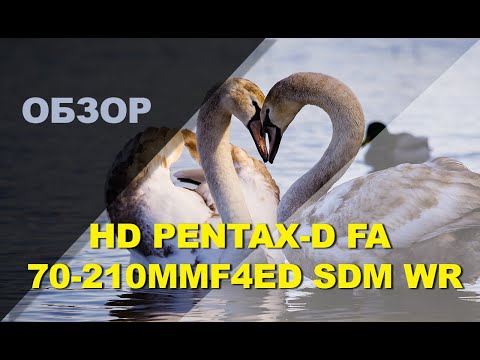 Video thumbnail for Video Review 2