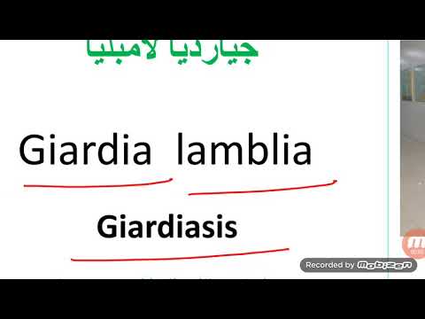 Parazitákból származó glioblastoma