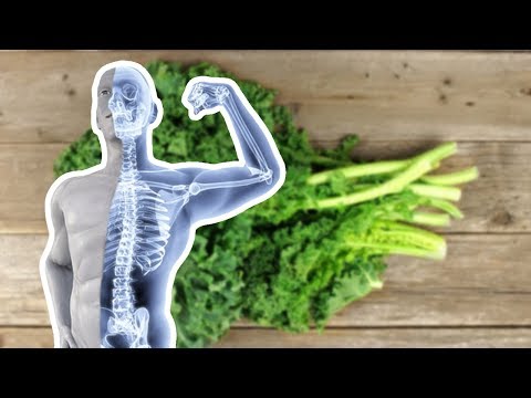 download lagu mp3 mp4 Calcium Rich Foods Vegan, download lagu Calcium Rich Foods Vegan gratis, unduh video klip Calcium Rich Foods Vegan