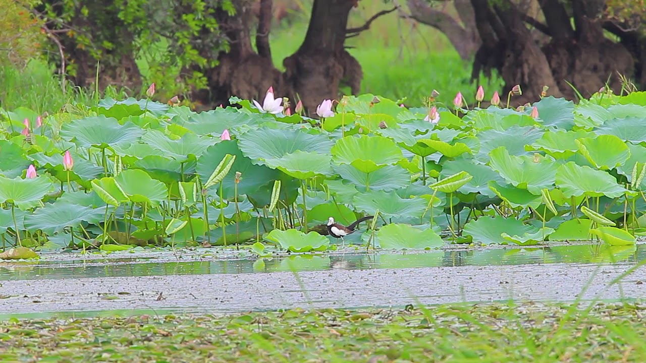 ㄴㅇㄴ 유튜브 썸네일