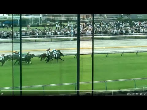 【1.5倍ズームUP】第90回東京優駿日本ダービーGⅠ ⑫タスティエーラ競り勝ち 2023.05.28 メモリアルスタンド3階