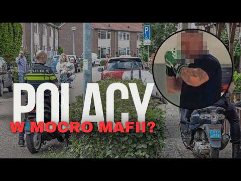 Dziki zachód and Włóczykij