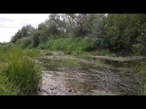 Râul Milcov în zona comunei Golești Vrancea