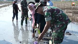 Kodim 0711/Pemalang Tanam 1.200 Mangrove
