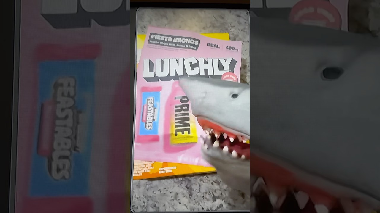 SHARK PUPPET GETS LUNCHLY! #shorts #viralvideo #funny