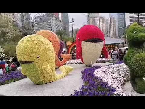 #2023 show hk flowers yearly events