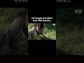 The Real Lion King Lion Lionking King Nature