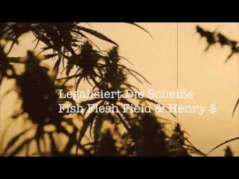 Fish Flesh Field and Henry $ - Fish Flesh Field & Henry $