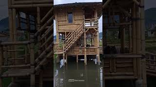 Download lagu rumah bambu unik di tengah sawah#shorts mp3