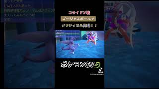 コライドンをゴージャスボールでクリティカルGETした件