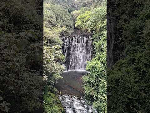 ufff sukoon 🥹❤️❤️#nature #love #2025