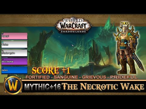 The Necrotic Wake Mythic 16 Fortified Sanguine Grievous Prideful Prot Paladin Shadowlands