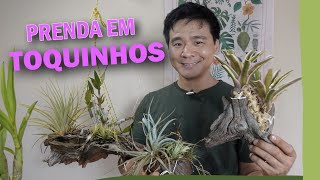 Miniatura do vídeo