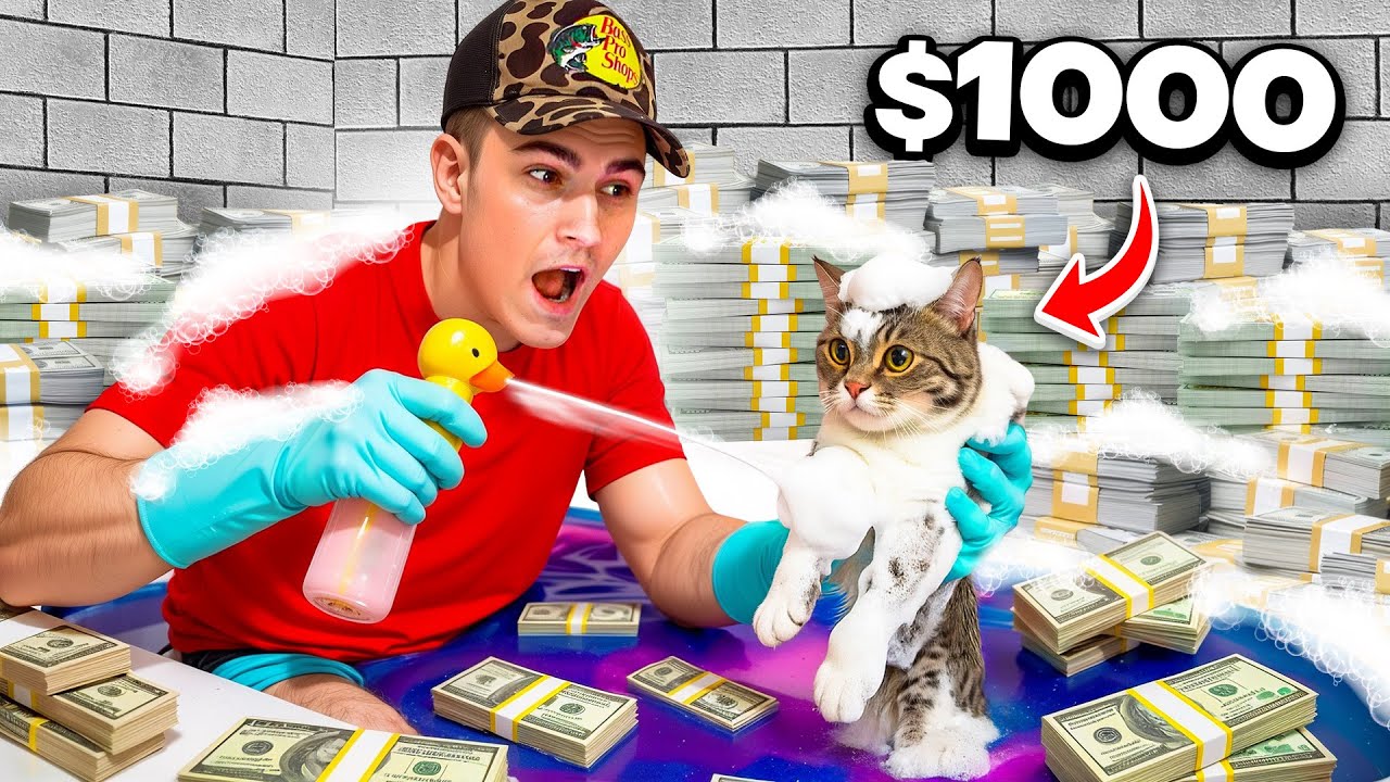 I Gave My Cats a Luxury Spa Day!