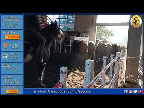 06-07-21 - Remate de Oregui y Cía. - Saavedra, Bs.As.