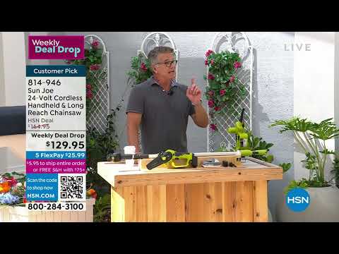 Sun Joe 24Volt Cordless Handheld   Long Reach Chainsaw