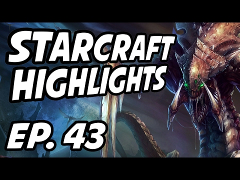 StarCraft Daily Highlights | Ep. 43 | ZansterSC2, ViBElol, thehunterooo, Avilo, RallyHearts