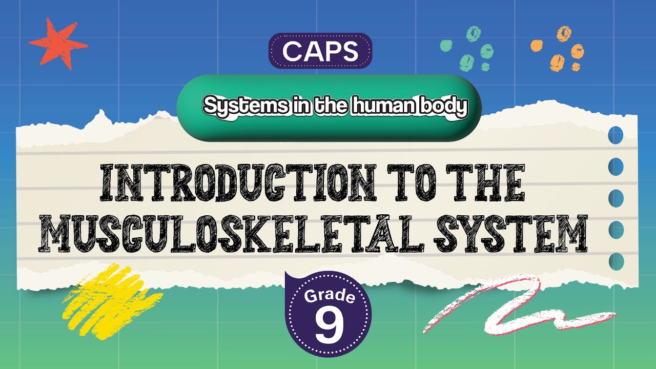[GRADE 9] Introduction to the musculoskeletal system