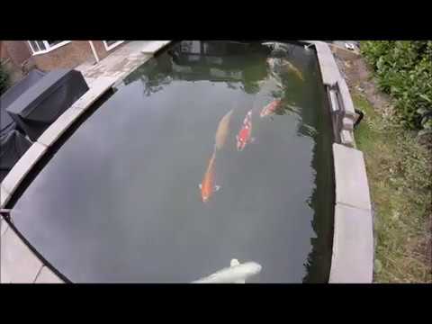 Ultra sieve and Bubble bead cleaning tutorial