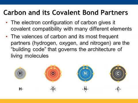 Chapter 4: Carbon and the Molecular Diversity of Life