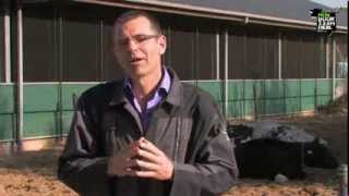 MIJN Duurzaamheid KOE