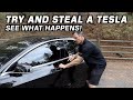 Don't Try and Steal a Tesla on Everyman Driver