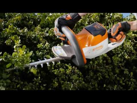 stihl hsa 56 preis