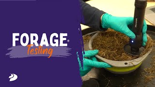 Forage Testing