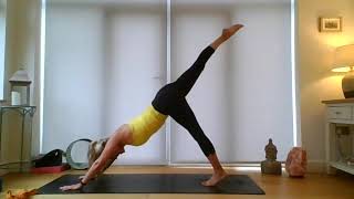 Day 2 - Yoga for the Upper Body