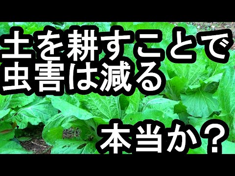 2023年に土地を耕すのは良いことですか？