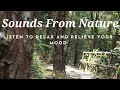 Relaxing music sounds from nature - Relaxing Music - Meditation - Nature