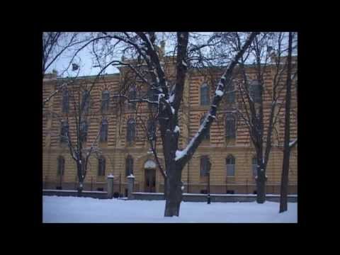 1 - In Memoriam Dusko Trifunovic -