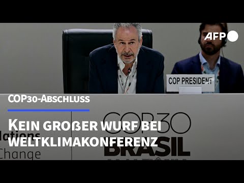 Verpasste Chance: Beschluss der COP30 ohne Fahrplan gegen Fossile | AFP