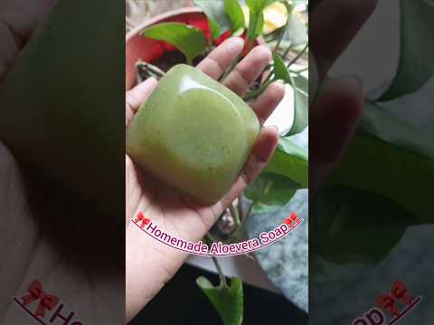 Homemade natural aloevera soap🎀 #shorts #ytshorts